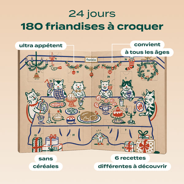 calendrier-de-l-39-avent-chat