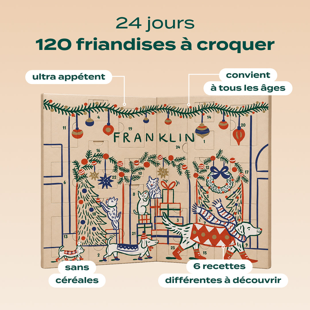 CALENDRIER DE L'AVENT CHIEN