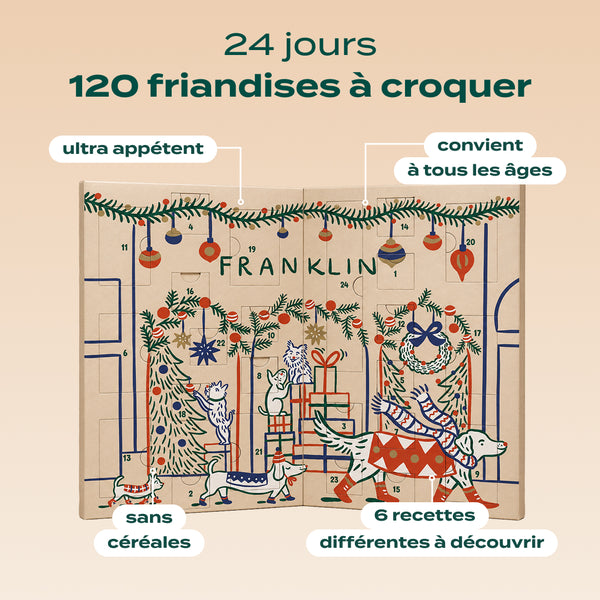 calendrier-de-l-39-avent-chien