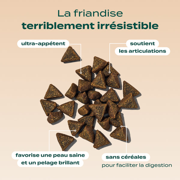 bouchees-ensorcelees-saumon-citrouille