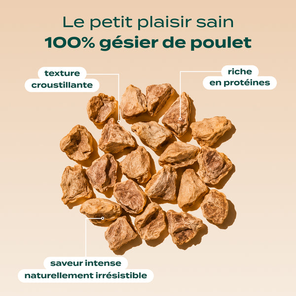 snack-gesier-de-poulet
