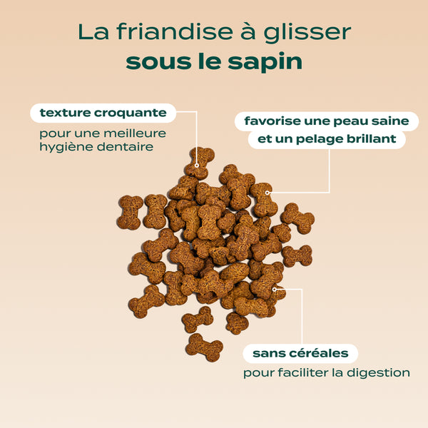 noel-gourmand-canard-cranberry