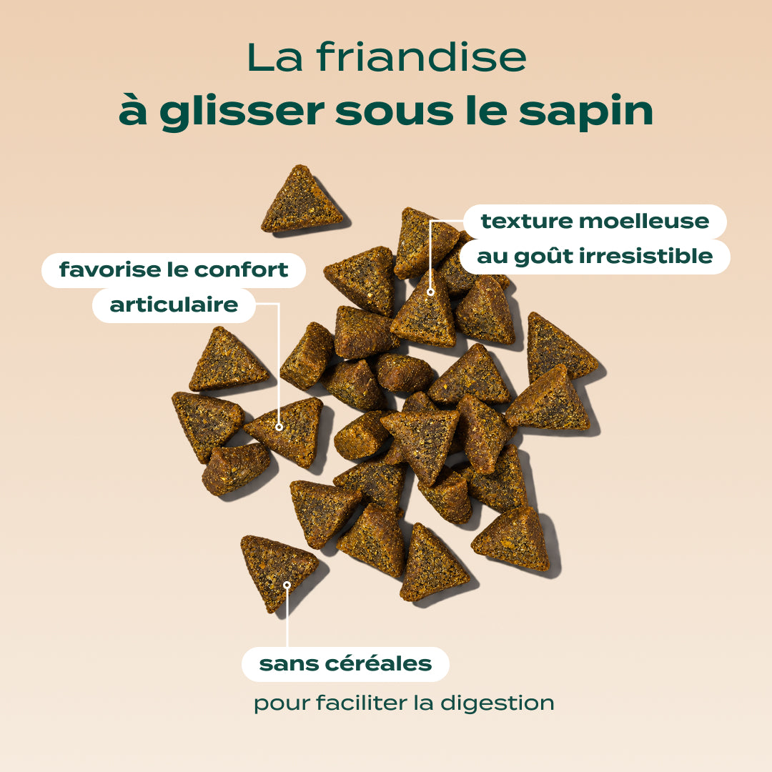 NOËL GOURMAND DINDE, CHEDDAR