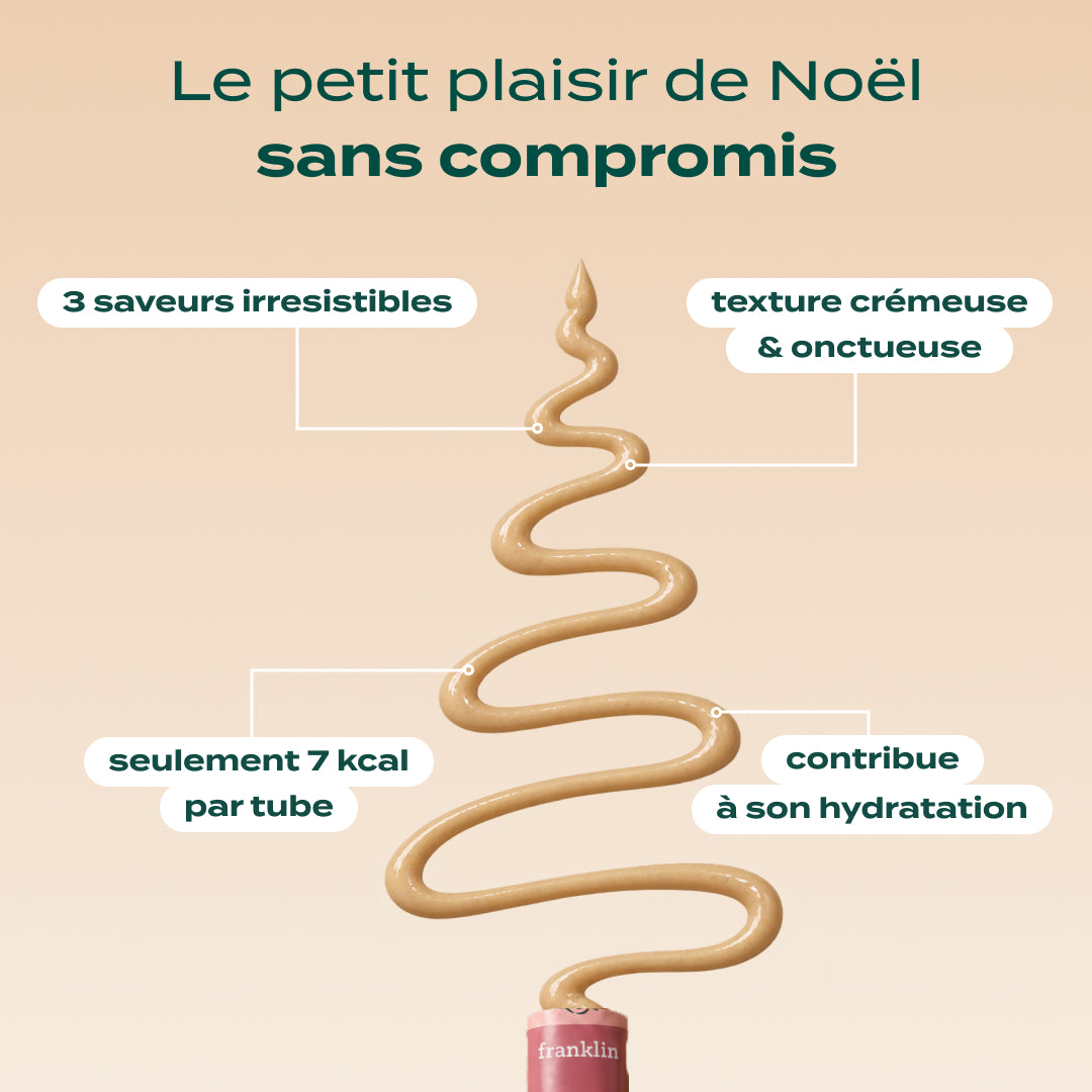 MULTIPACK MINI TUBES POULET