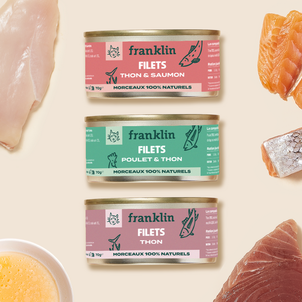 trio-filets