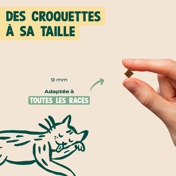 poulet-myrtille-basilic