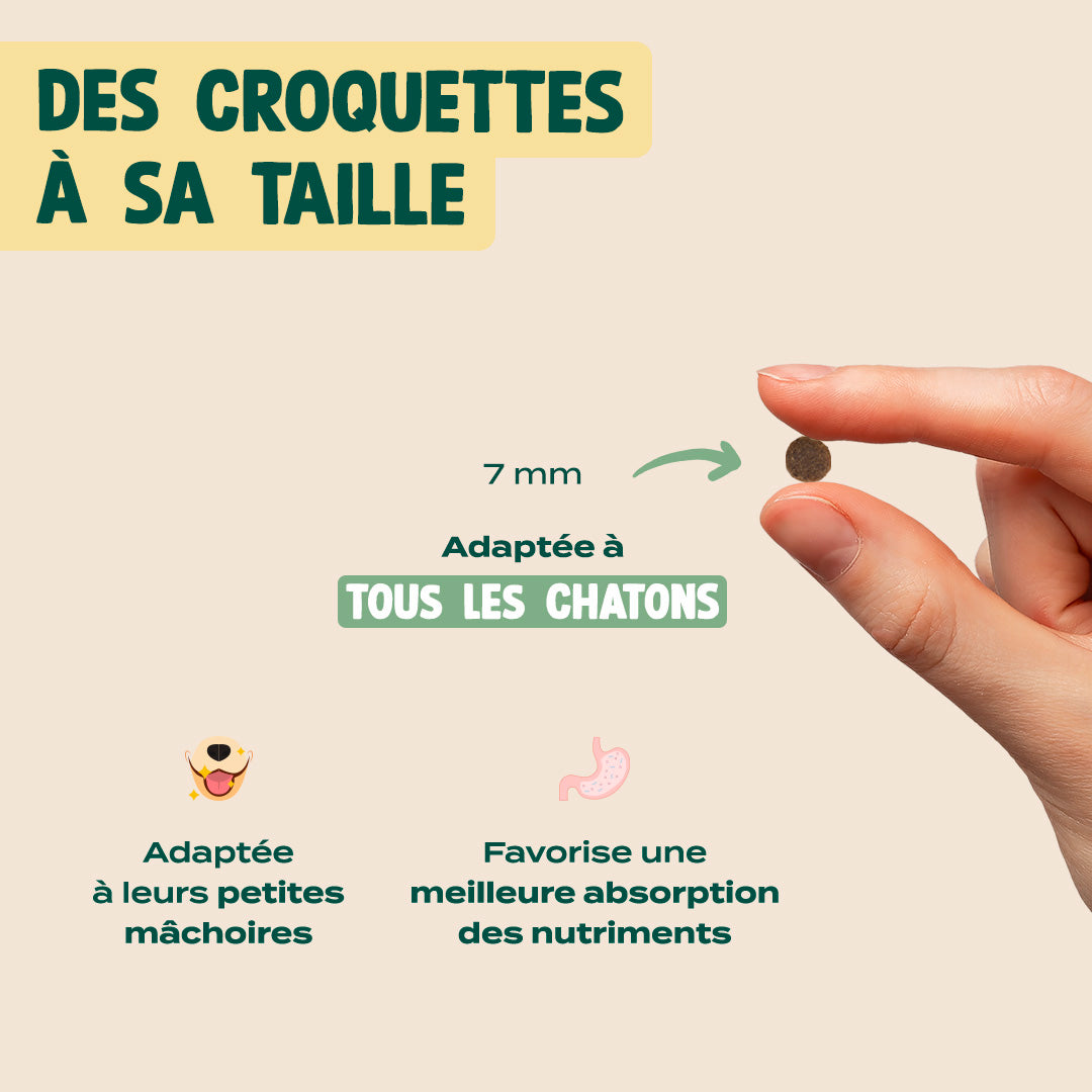 POULET, SAUMON, CAROTTE