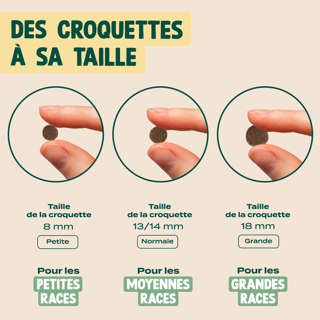 CANARD, POMME, CAROTTE