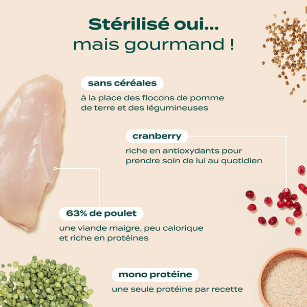 poulet-courge-cranberry