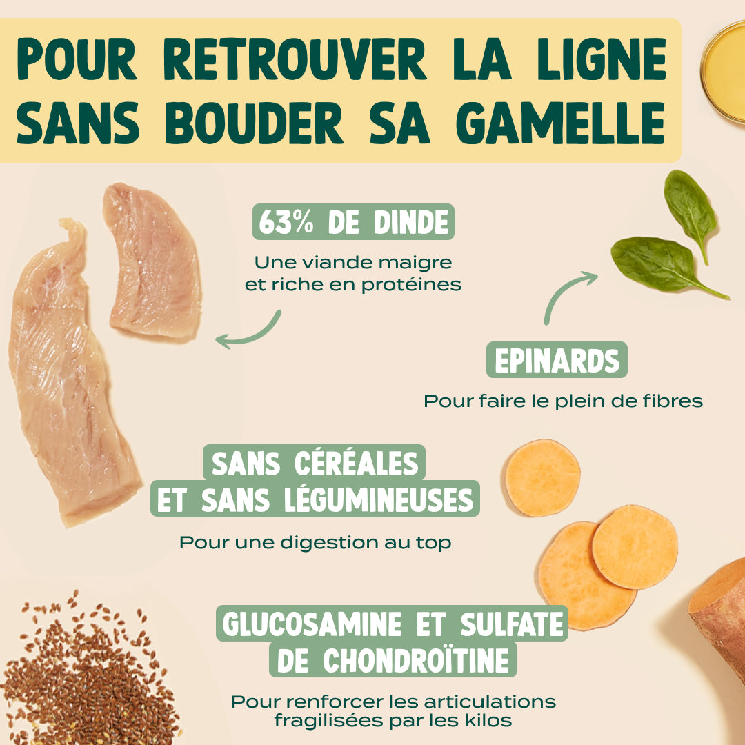 DINDE, PATATE DOUCE, ÉPINARDS