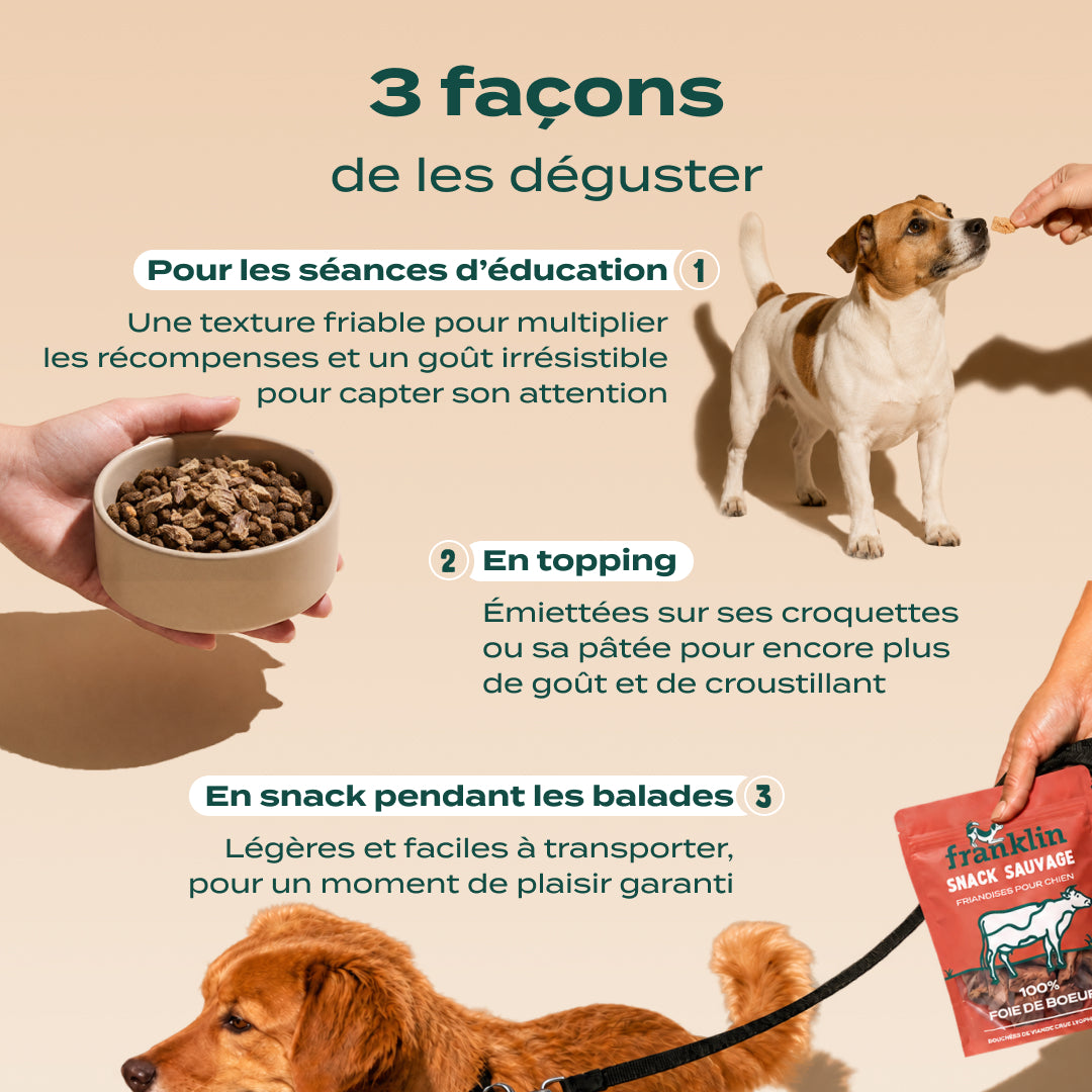 SNACK FOIE DE BŒUF