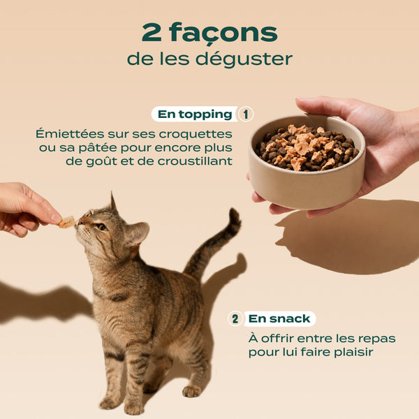 snack-saumon
