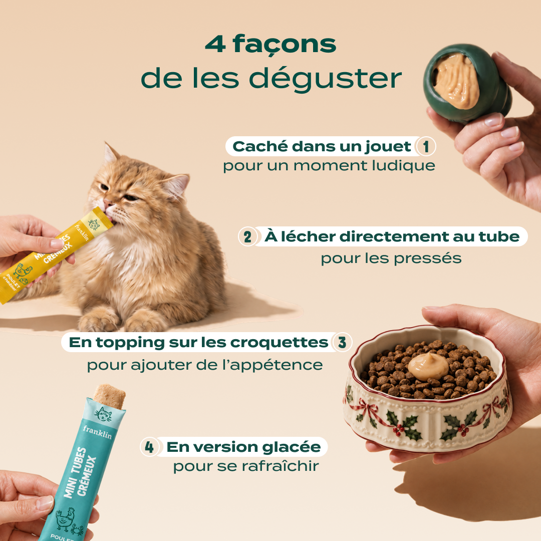 MULTIPACK MINI TUBES POULET