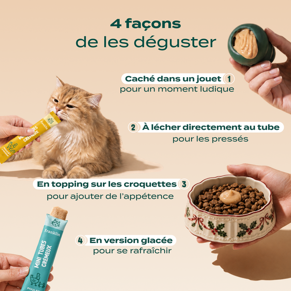 multipack-mini-tubes-poulet