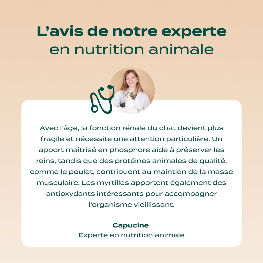 POULET, MYRTILLE, BASILIC