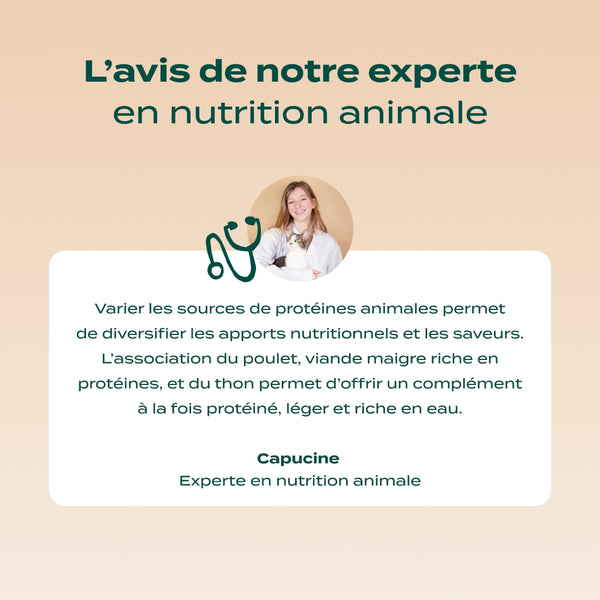poulet-amp-thon