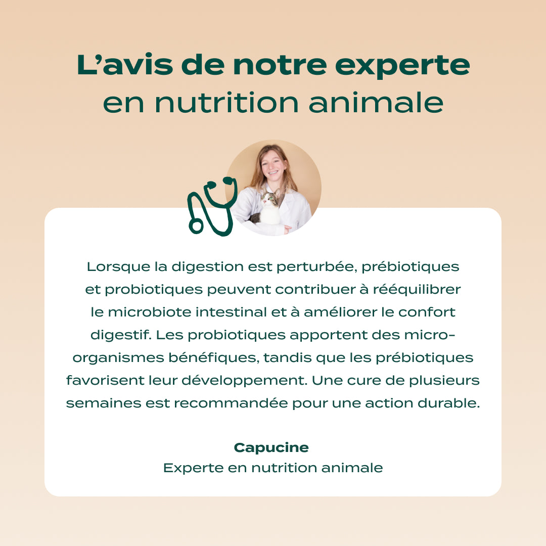 GUMMIES PROBIOTIQUES