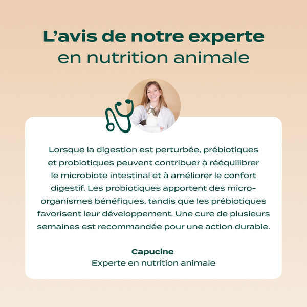 gummies-probiotiques