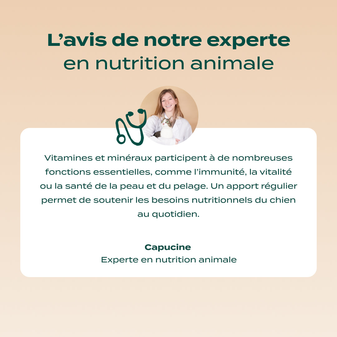 GUMMIES MULTIVITAMINES