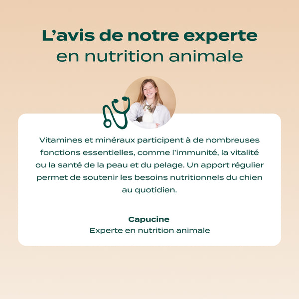 gummies-multivitamines