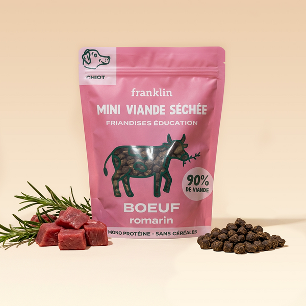 mini-viande-sechee-boeuf-romarin