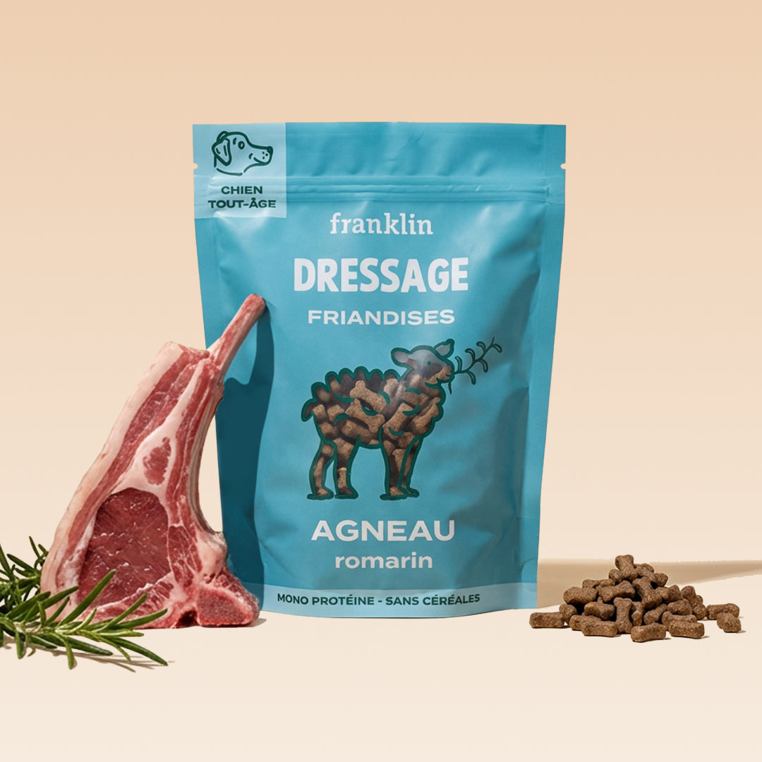 Dressage agneau