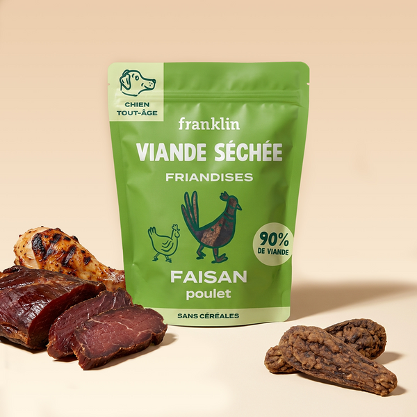 faisan-seche