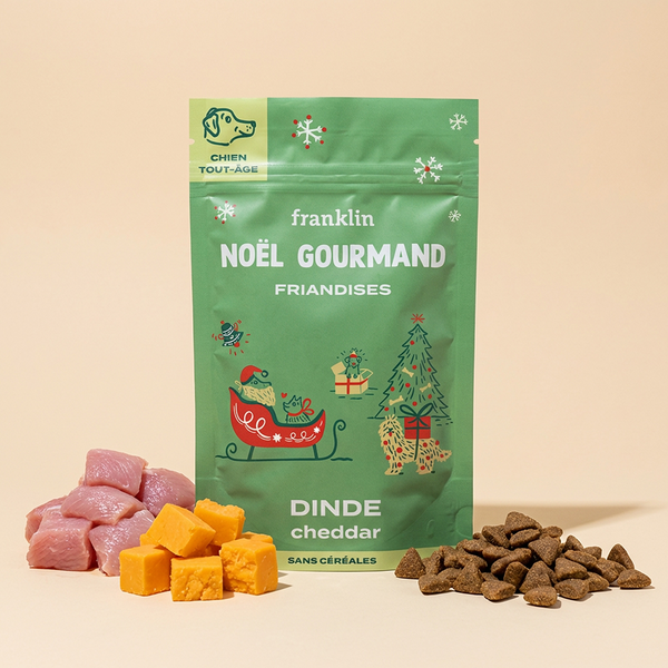 noel-gourmand-dinde-cheddar