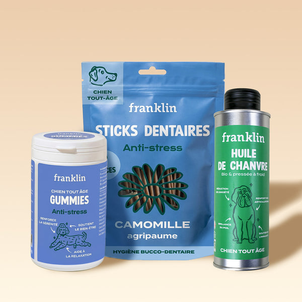 pack-anti-stress-chien