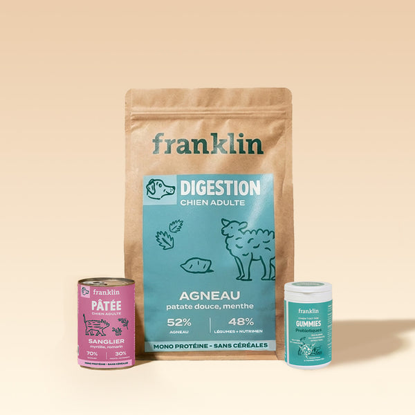 PACK DIGESTION CHIEN