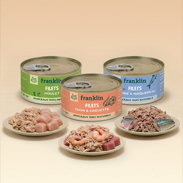trio-decouverte-filets