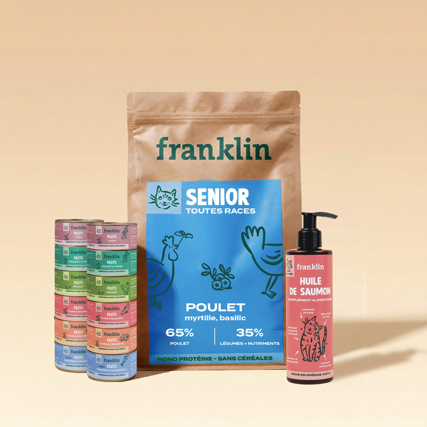 PACK CHAT SENIOR