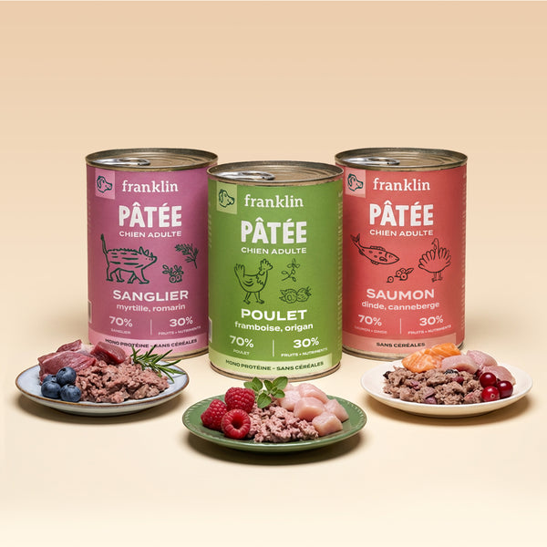 TRIO 3 SAVEURS PÂTÉES