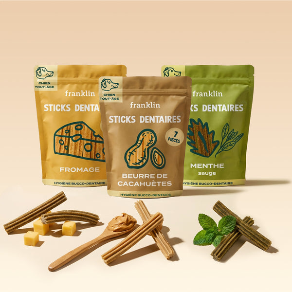 trio-sticks-dentaires