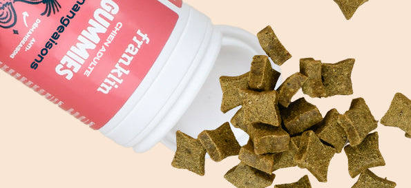 Franklin Alimentation premium pour chien et chat. Choisissez la meilleure nourriture pour votre animal : Croquettes sans céréales riches en protéines et faibles en glucides. Découvrez notre large gamme de pâtées et de friandises riches en viande !