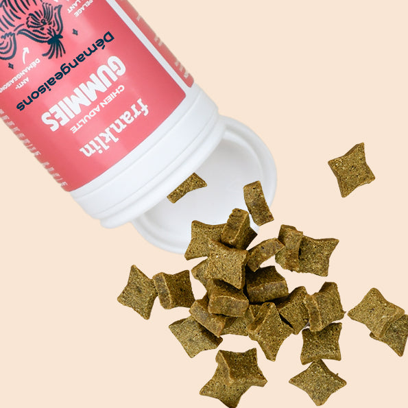 Franklin Alimentation premium pour chien et chat. Choisissez la meilleure nourriture pour votre animal : Croquettes sans céréales riches en protéines et faibles en glucides. Découvrez notre large gamme de pâtées et de friandises riches en viande !