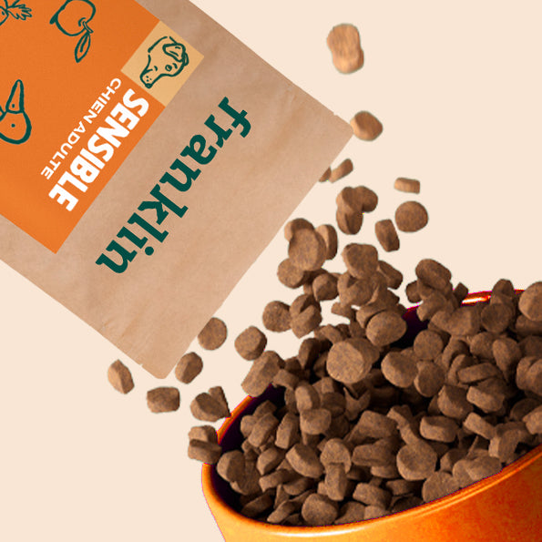 Franklin Alimentation premium pour chien et chat. Choisissez la meilleure nourriture pour votre animal : Croquettes sans céréales riches en protéines et faibles en glucides. Découvrez notre large gamme de pâtées et de friandises riches en viande !