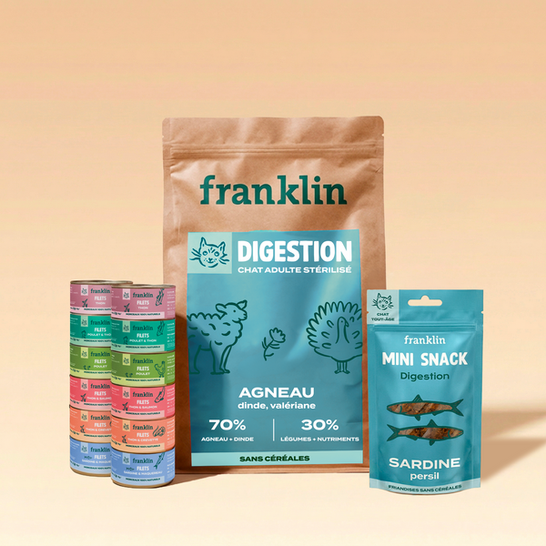 PACK DIGESTION CHAT
