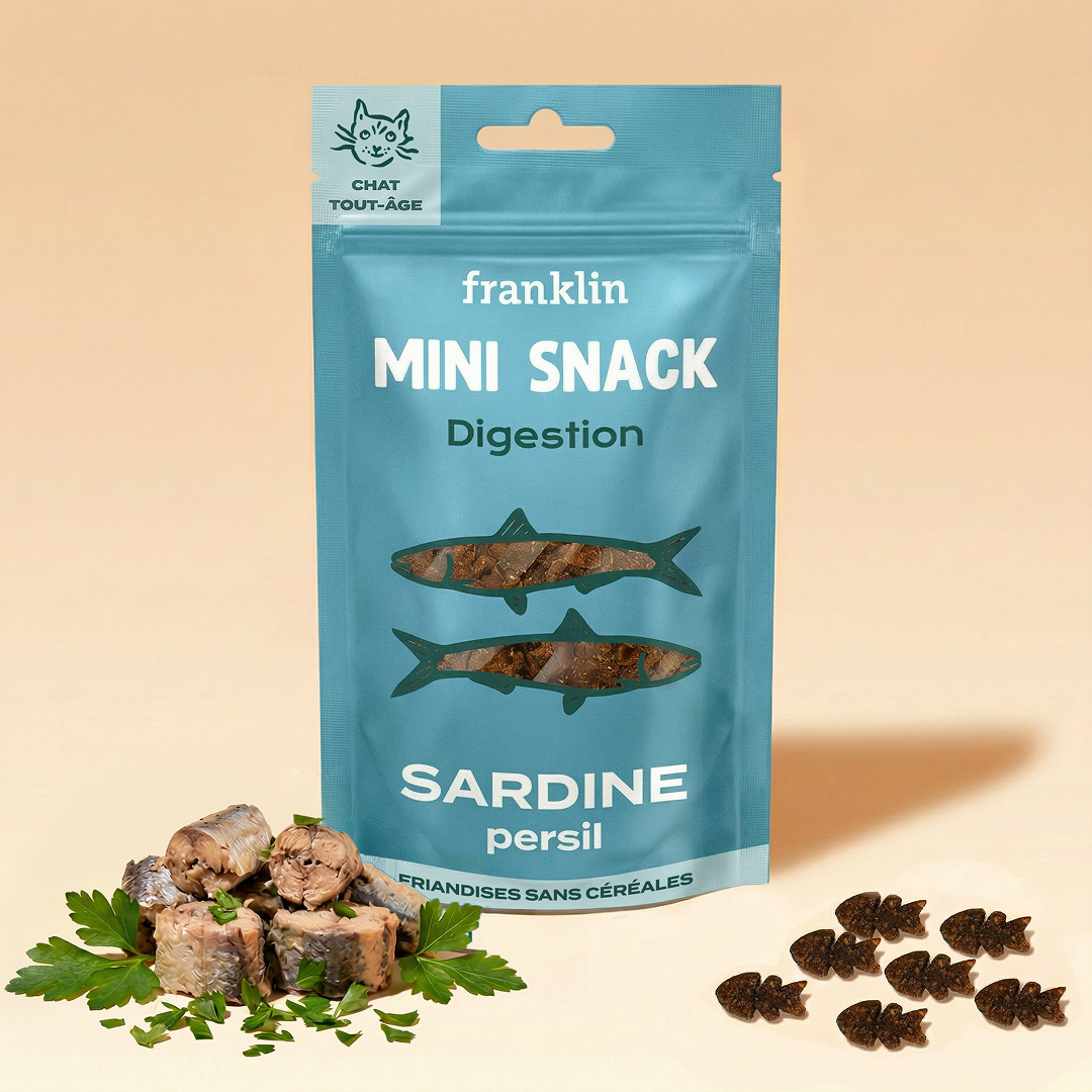MINI SNACK DIGESTION