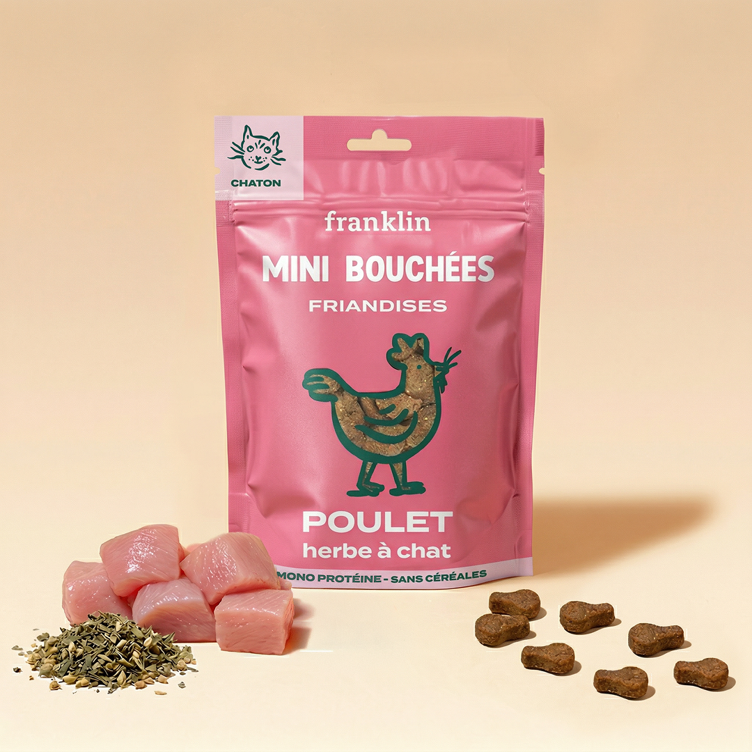 MINI BOUCHÉES - POULET, HERBE À CHAT