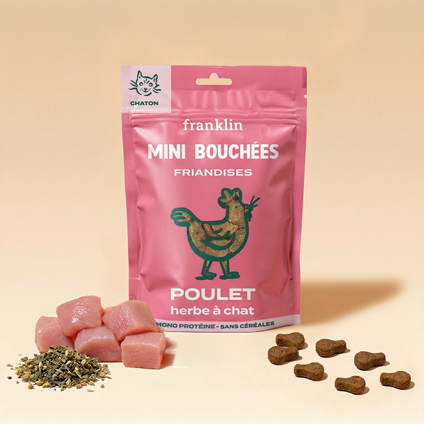 mini-bouchees-poulet-herbe-a-chat