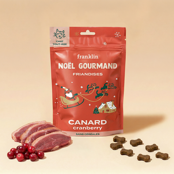 noel-gourmand-canard-cranberry