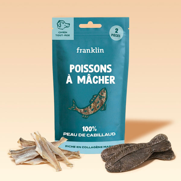 poissons-a-macher