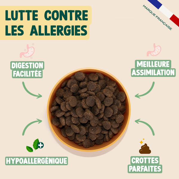 canard-pomme-carotte