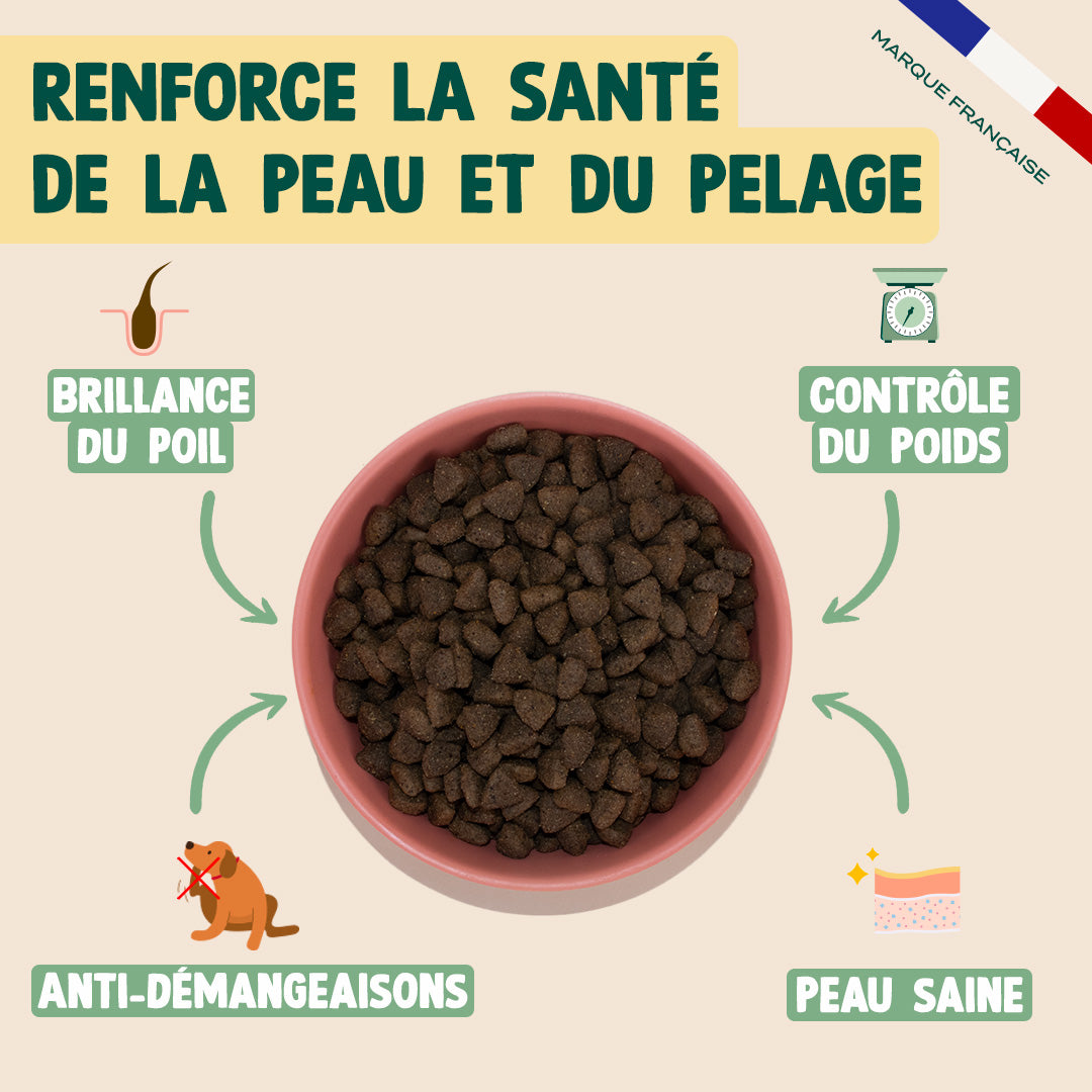 SAUMON, TRUITE, PERSIL