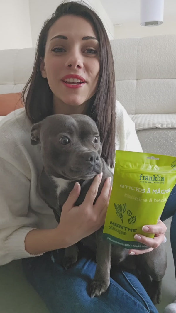 pack-decouverte-sticks-dentaires