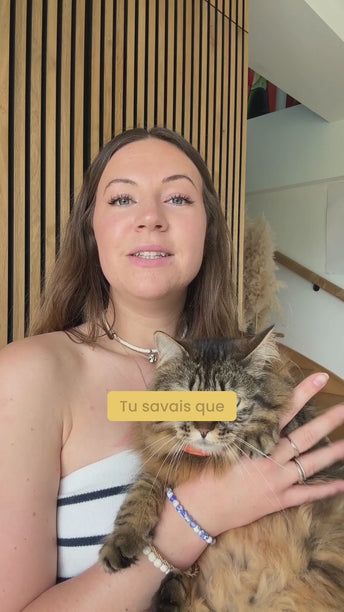 PACK TROUBLES URINAIRES CHAT