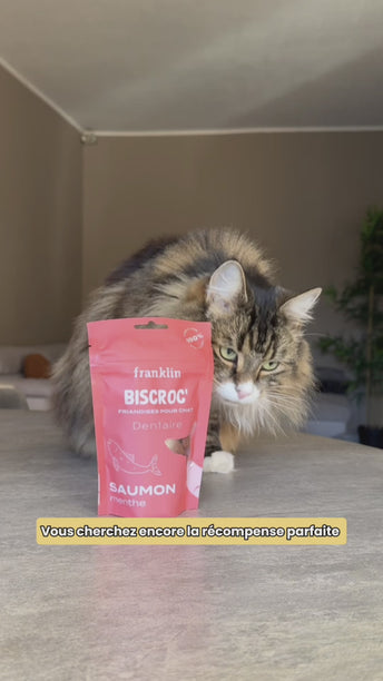 PACK CHAT STÉRILISÉ
