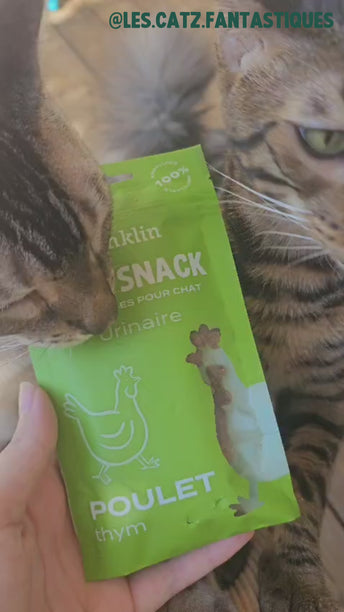 MINI SNACK URINAIRE