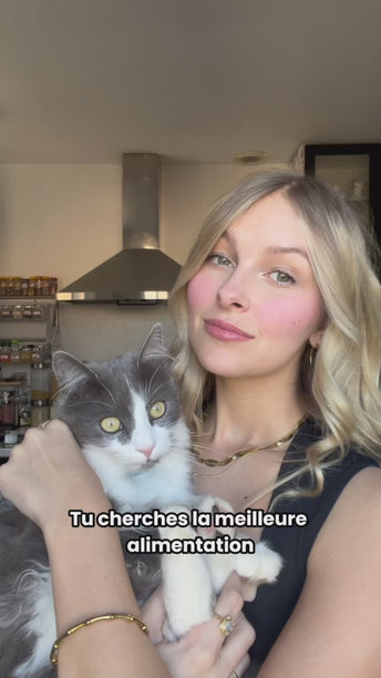 PACK DÉCOUVERTE CHATON